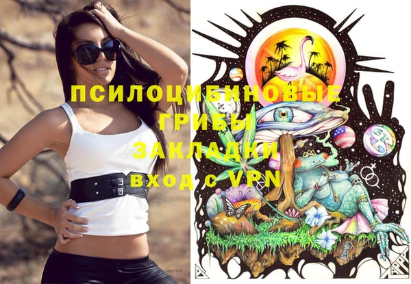 ECSTASY Алексеевка
