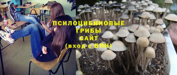 прущая мука Алзамай