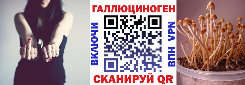 Псилоцибиновые грибы прущие грибы Ленинск